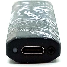 Silvio Monetti Aslan USB Şarjlı Elektronik Renkli