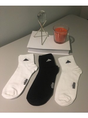 Ays Socks Boutique 3’lü Bilek Boy Kolej Çorap