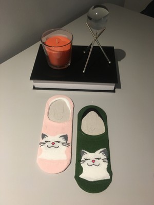 Ays Socks Boutique 2'li Kedi Desenli Kadın Babet Çorap