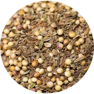 Soğanlı Ekmek Baharatı 100 gr