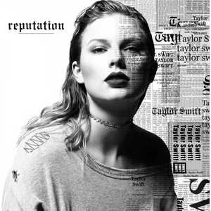 Universal Music Group Taylor Swift / Reputation (2lp Picture Disc) (Plak)