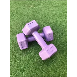 1 kg x 2 Adet Dambıl Vinyl Kaplı Dumbell Ağırlık - Mor Renk