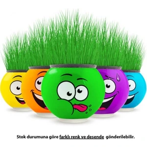 Duyu Market Çimoji - Emoji Çim Adam