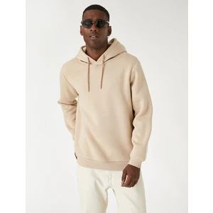 Basic Kapşonlu Sweatshirt