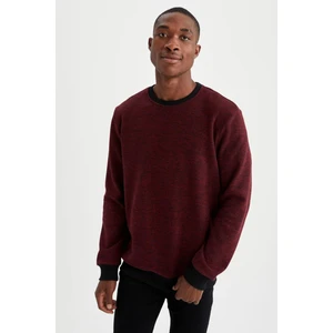 Regular Fit Bisiklet Yaka Sweatshirt S2840Az21Au