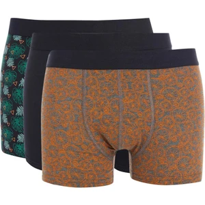 Regular Fit 3'lü Boxer T4099AZ22SP