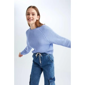 Coool Regular Fit Bisiklet Yaka Kazak L2567AZ22AU