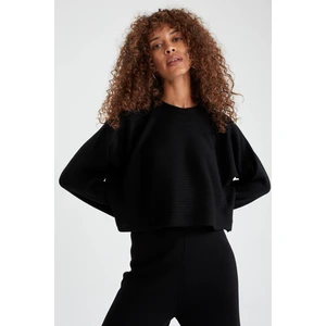 Yarasa Kollu Relax Fit Crop Triko Kazak L3001Az21Wn