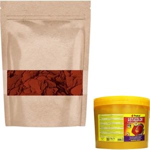 Astacolor 100gr  Balık Yemi (Açık)