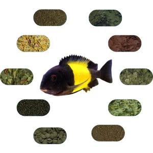 Tropheus Sp. Ikola Özel Balık Yem Paketi (6 Çeşit) 100 gr/Ad
