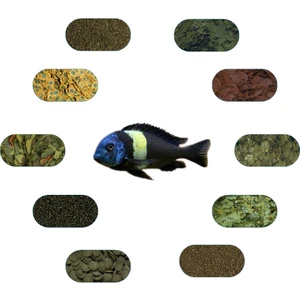 Tropheus Duboisi Maswa Özel Yem Paketi (7 Çeşit) 50 gr/Ad