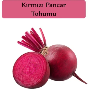 Çermik Fidancılık Kırmızı Pancar Tohumu 10 gr