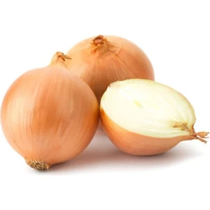 Çermik Fidancılık Kuru Soğan Tohumu 10 gr