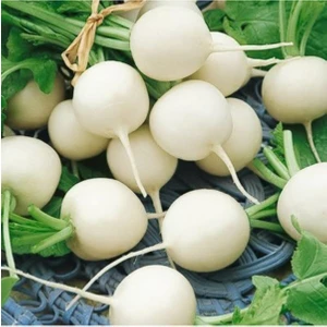 Çermik Fidancılık Beyaz Turp Tohumu 25 gr