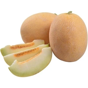Çermik Fidancılık Ananas Kavun Tohumu 10 gr