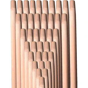 Gürgen Sap 120cm 2'Li