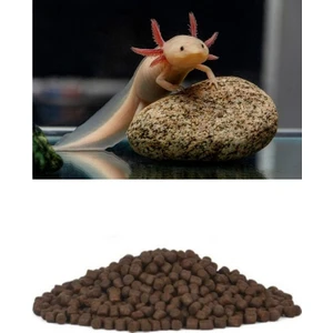 Canlı Petshop Y-Axolotl Yemi 40 gr Batan Yem