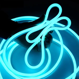 Ema Dükkan 12V Neon LED Trafolu Esnek Neon LED Aydınlatma Trafolu Tak-Çalıştır Neon Şerit LED