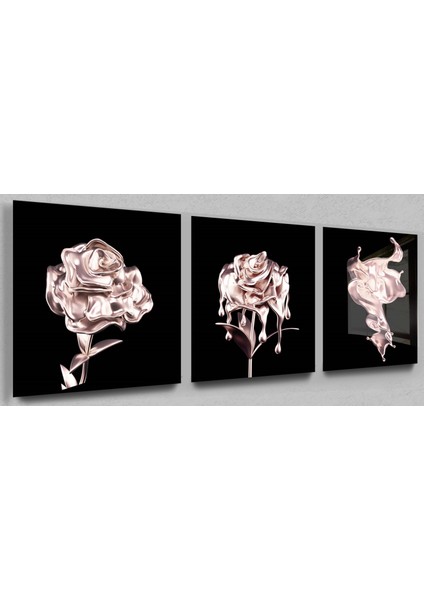 Akan Gül 3lü Kare Cam Tablo,çiçek Tablo,gül Tablo,doğa Tablo,duvar Dekor,büyük Tablo,cam Duvar Tablo modelleri