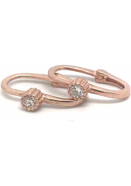 Gümüş Taşlı Bayan Küpe NZ13D1