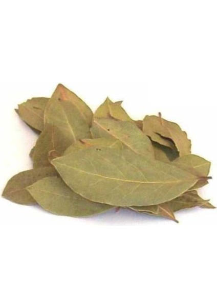 Defneyaprağı Kuru 500 gr