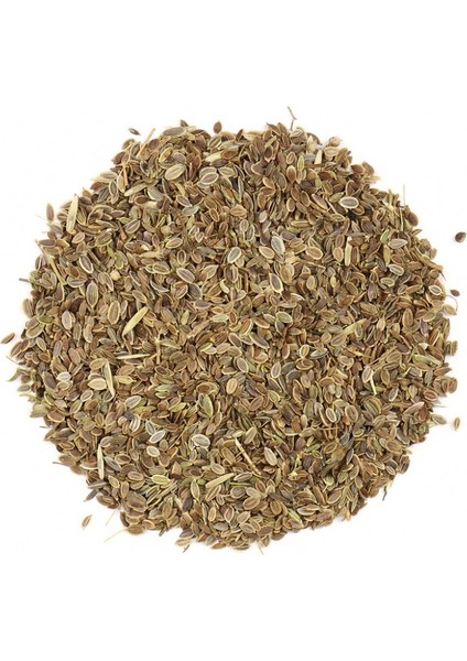 Dereotu Tohumu 100 gr
