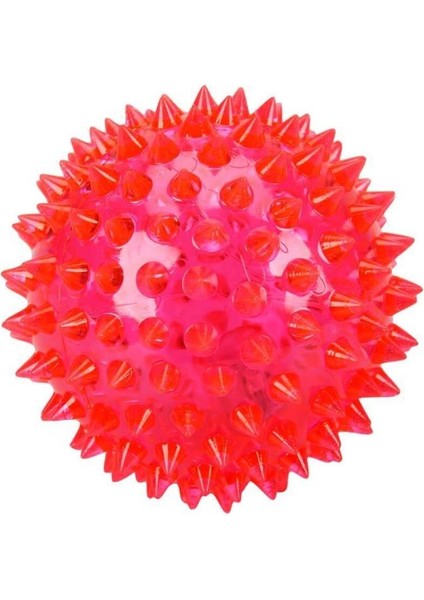 Sesli Işıklı Köpek Oyuncağı Topu Dikenli Diş Kaşıma Topu modelleri