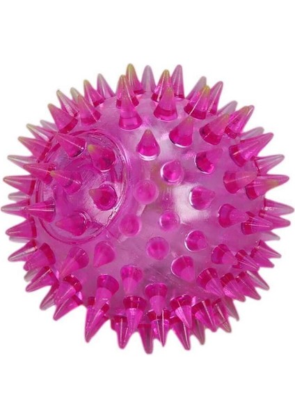 Sesli Işıklı Köpek Oyuncağı Topu Dikenli Diş Kaşıma Topu fırsatları