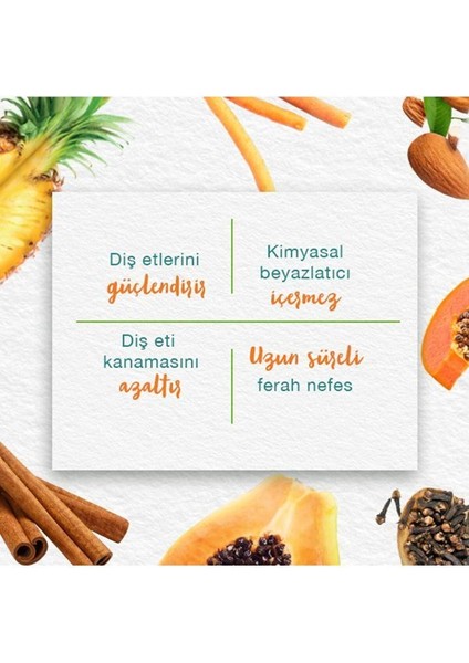 Leke Karşıtı Bitkisel Diş Macunu, Florürsüz, Parabensiz, Vejeteryan, Leke Çıkartıcı, 75 ml