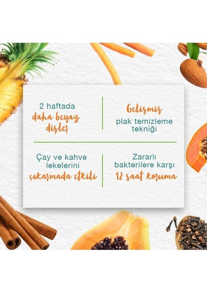 Leke Karşıtı Bitkisel Diş Macunu, Florürsüz, Parabensiz, Vejeteryan, Leke Çıkartıcı, 75 ml