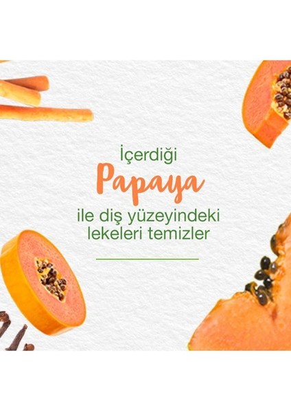 Leke Karşıtı Bitkisel Diş Macunu, Florürsüz, Parabensiz, Vejeteryan, Leke Çıkartıcı, 75 ml