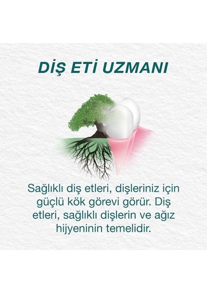 Leke Karşıtı Bitkisel Diş Macunu, Florürsüz, Parabensiz, Vejeteryan, Leke Çıkartıcı, 75 ml