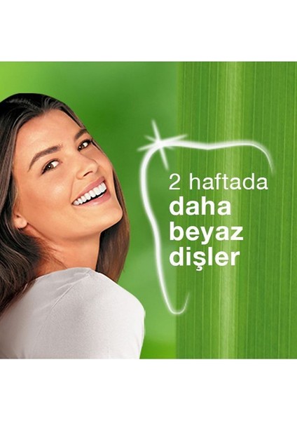 Leke Karşıtı Bitkisel Diş Macunu, Florürsüz, Parabensiz, Vejeteryan, Leke Çıkartıcı, 75 ml