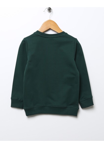 Düz Erkek Çocuk Yeşil Sweatshirt JEREMYKIDSK022 fiyatları