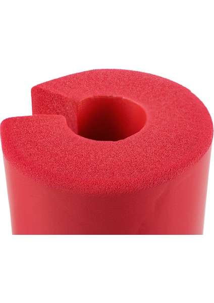 SP6 Bar-Squat Pedi
