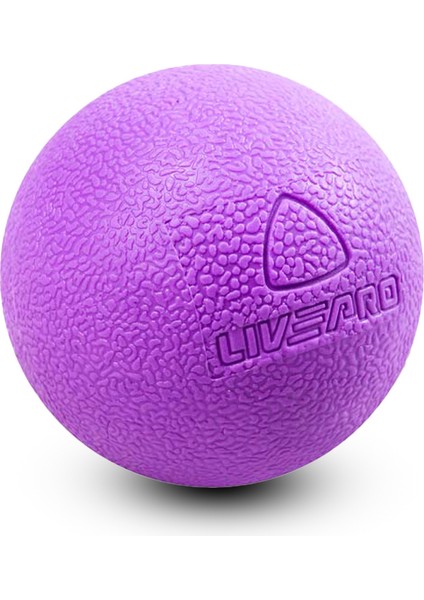 LP8501 Masaj Topu fiyatları