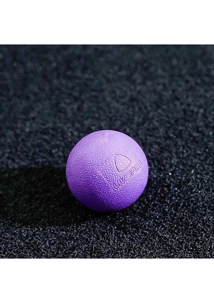 LP8501 Masaj Topu modelleri