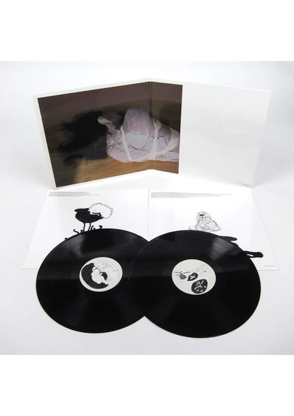 Björk / Greatest Hits (2lp) (Plak)