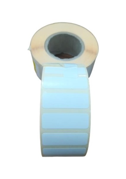 30X10 Wellum Etiket