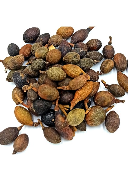 Defne Tohumu 100 gr fiyatları