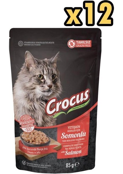 Tahılsız Kedi Somonlu Pouch Jöleli Yaş Mama 85 gr x 12 Adet