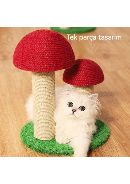 Kedi Tırmanma Çerçevesi Kedi Tırmalama Sütunu Çok Katmanlı Kedi Çerçevesi