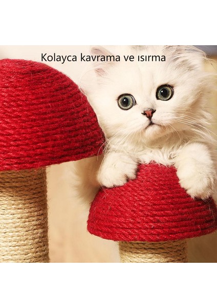 Kedi Tırmanma Çerçevesi Kedi Tırmalama Sütunu Çok Katmanlı Kedi Çerçevesi