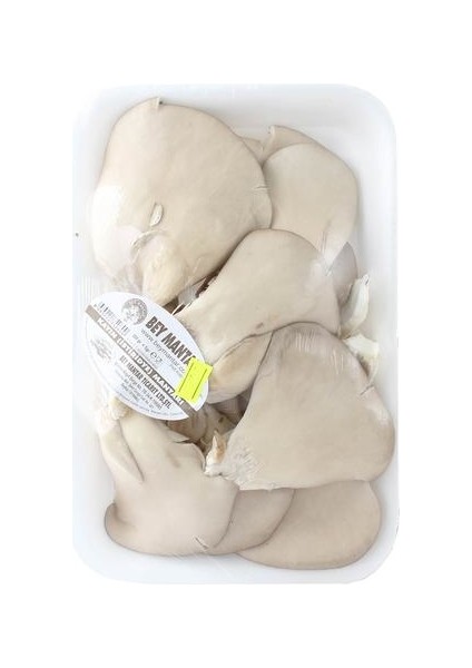 Istiridye Mantarı 300 gr