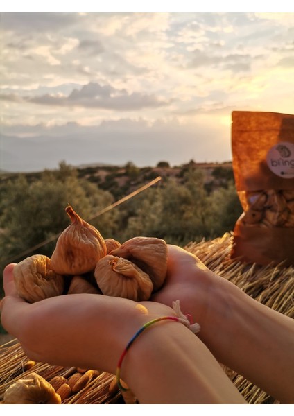 Aydın Kuru Dağ İncir 1 kg fiyatları