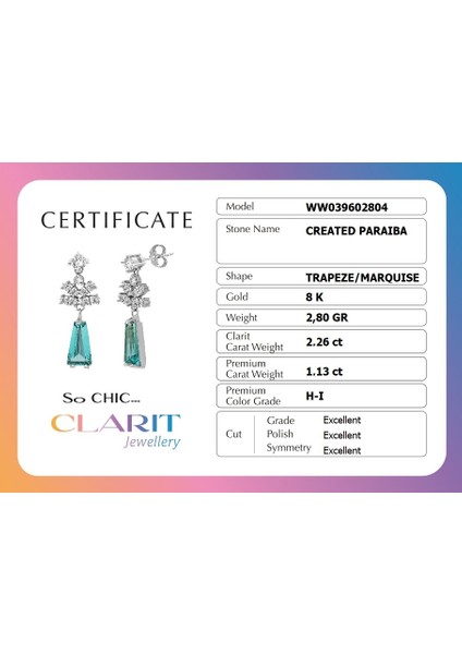 Created Paraiba Taşlı Clarit Serisi 8 Ayar Beyaz Altın Küpe