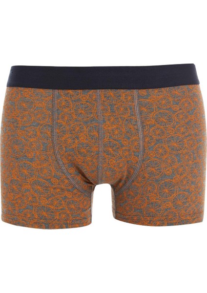 Regular Fit 3'lü Boxer T4099AZ22SP
