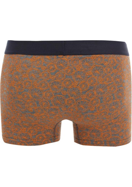 Regular Fit 3'lü Boxer T4099AZ22SP