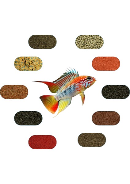 Apistogramma Yem Paketi (Cüce Amerikan Ciklet) 100 gr*Ad