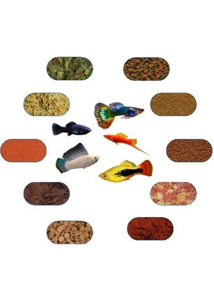 Karma Canlı Doğuran Yem Paketi (6 Çeşit)(Kılıç,Moli,Lepistes,Velifera,Plati) 50 gr/Ad